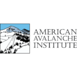 American Avalanche Institute