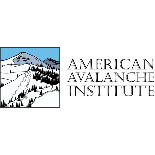 American Avalanche Institute