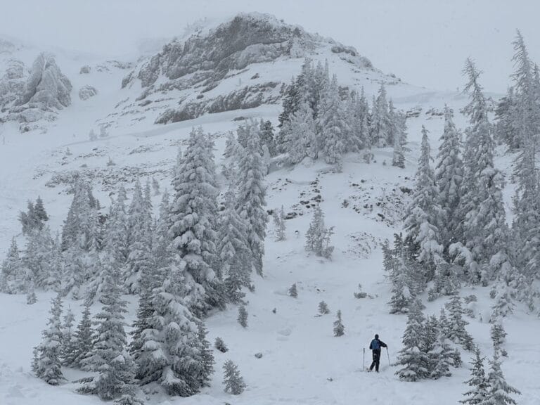 Radio Tower Peak Avalanche Fatality, 01-04-2025